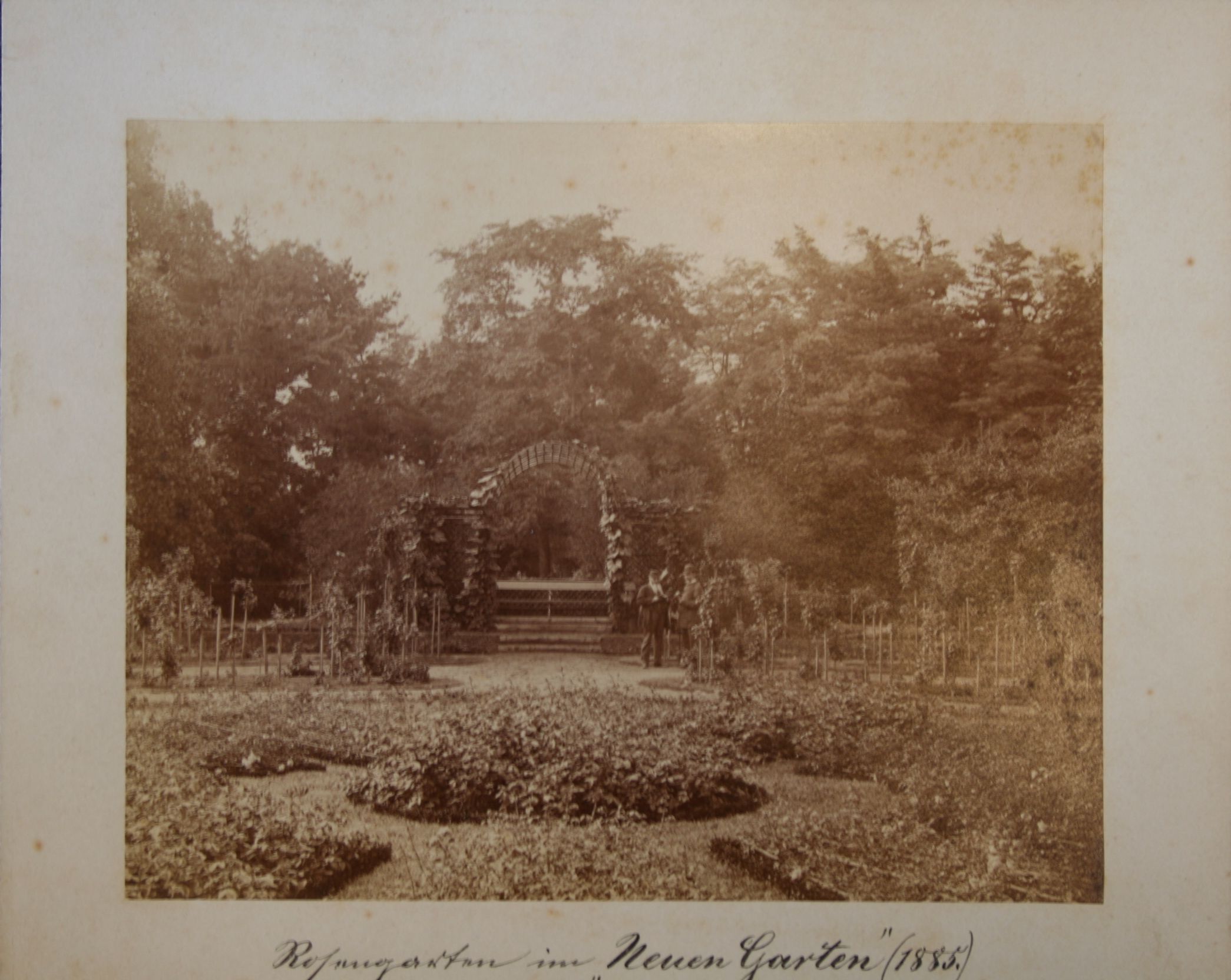 Rosengarten im Neuen Garten. Aus Theodor Nietners Silberhochzeitsalbum