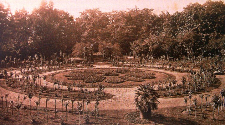 Rosengarten im Neuen Garten